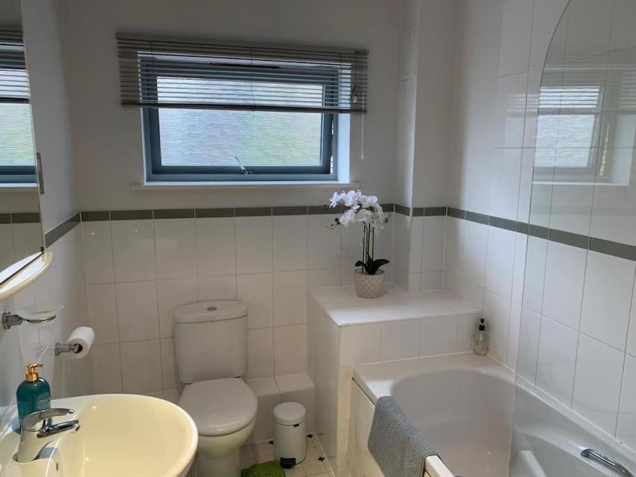 Brownberry Tree Serviced Apartment CBG エクステリア 写真
